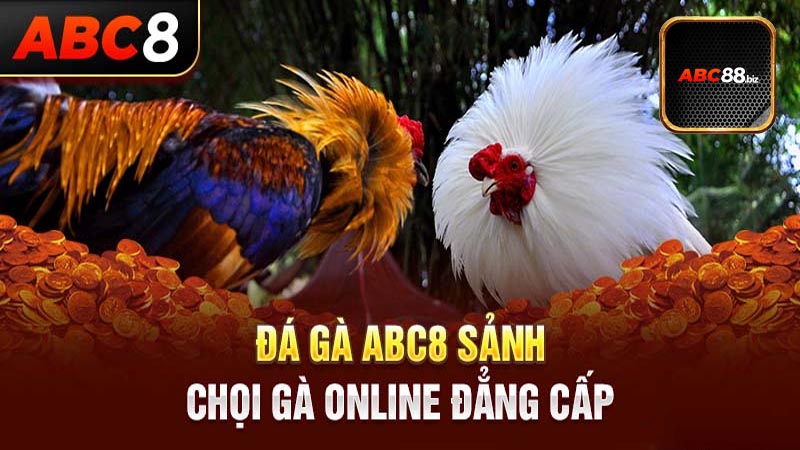 Bật mí cách vào kèo đá gà ABC88 thắng to